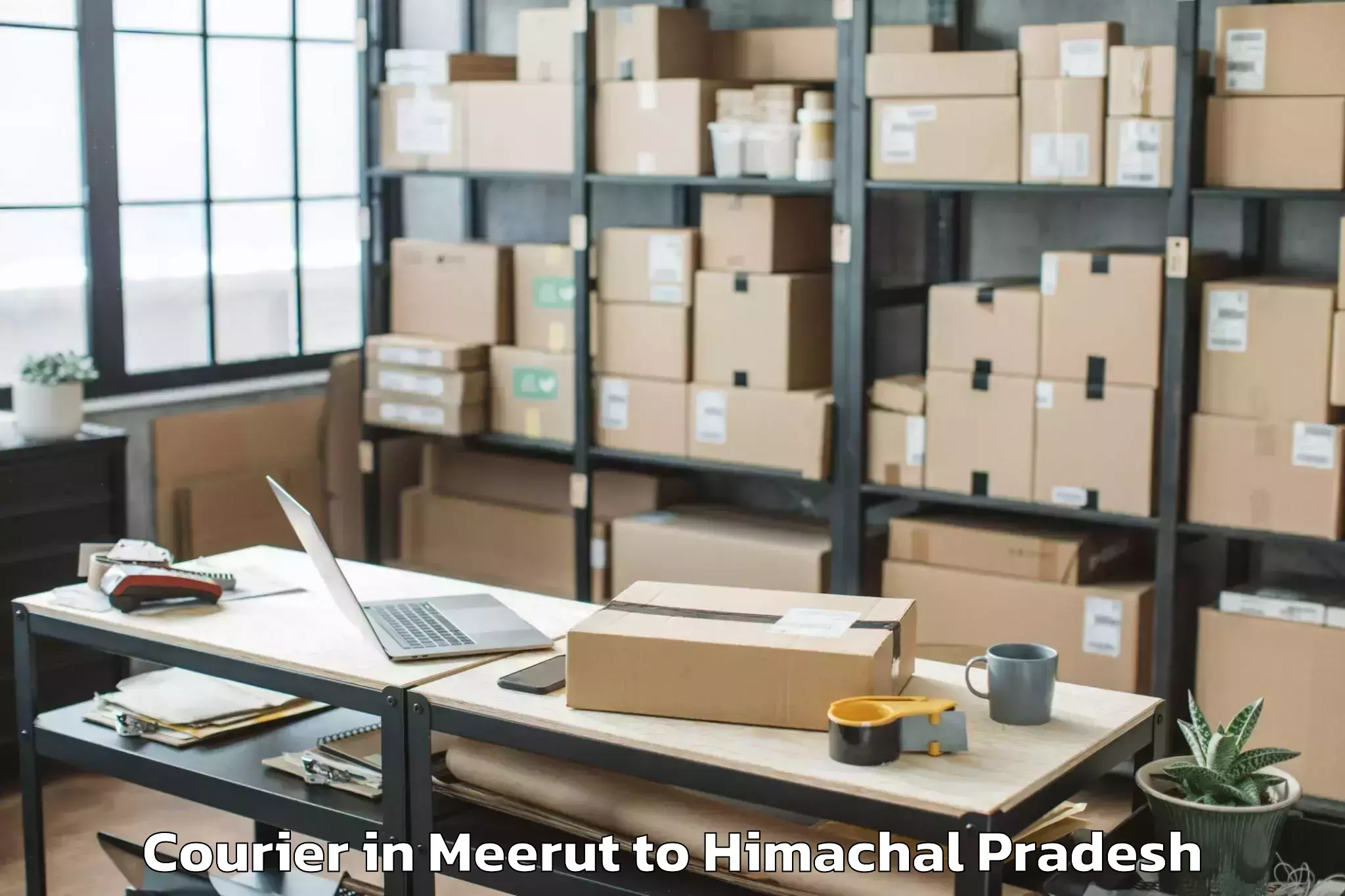 Professional Meerut to Chuari Khas Courier